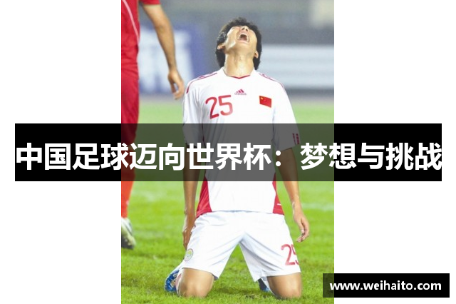 中国足球迈向世界杯：梦想与挑战